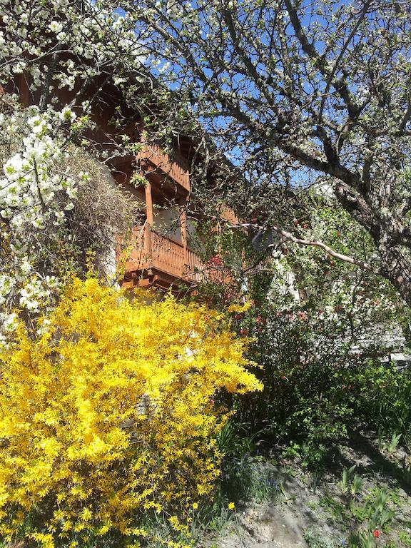 Chalet D'Heidi Bourg-Saint-Maurice Εξωτερικό φωτογραφία